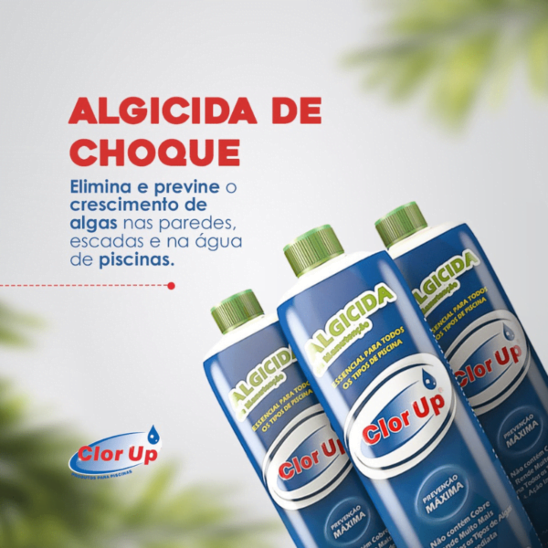 ALGICIDA DE CHOQUE 1 L