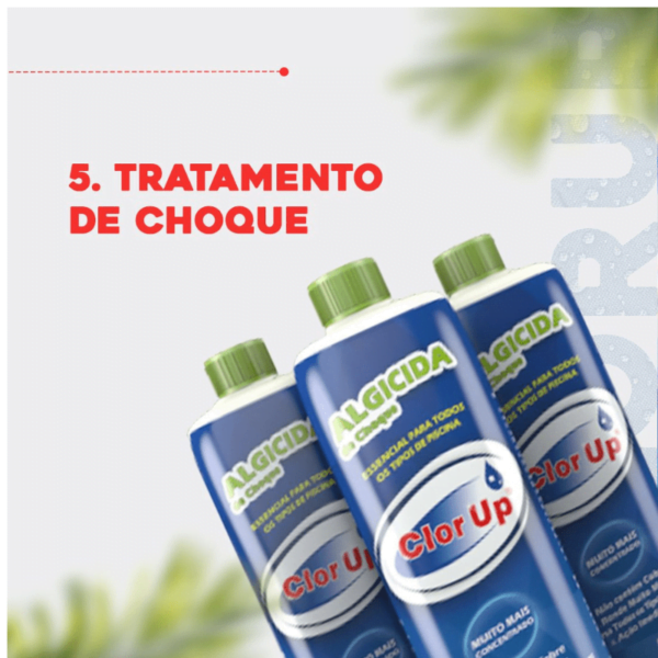 ALGICIDA DE CHOQUE 1 L - Image 2