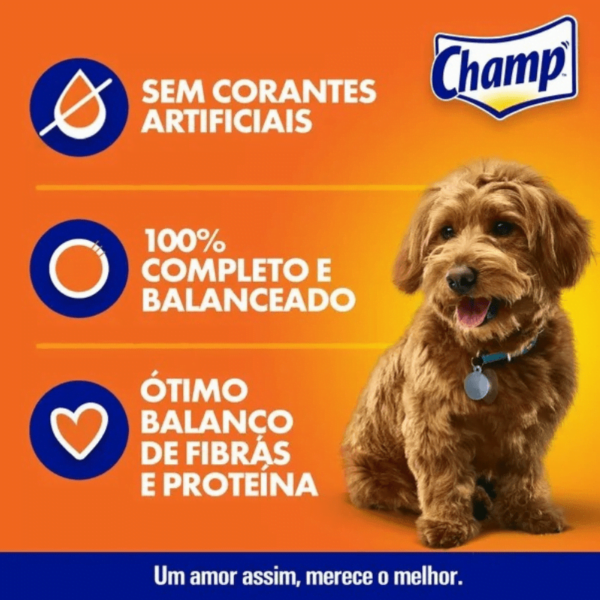 CHAMP SACHE ADULTO CARNE 85 G - Image 2