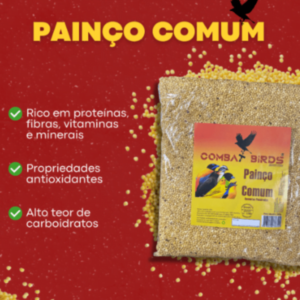 PAINÇO COMUM 5 KG